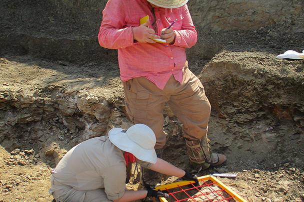 <a href='http://rigv.ngskmc-eis.net'>全球十大赌钱排行app</a>学生在麦卡尔哈尼采石场测绘三角龙骨骼.
